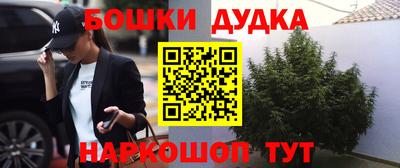 винт Дубна